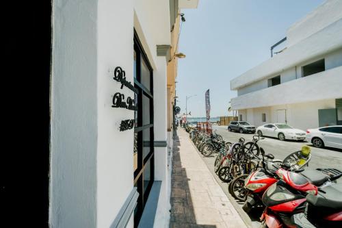 Φωτογραφία από το άλμπουμ του Malecón de La Paz, Departamento Don Manolo σε La Paz