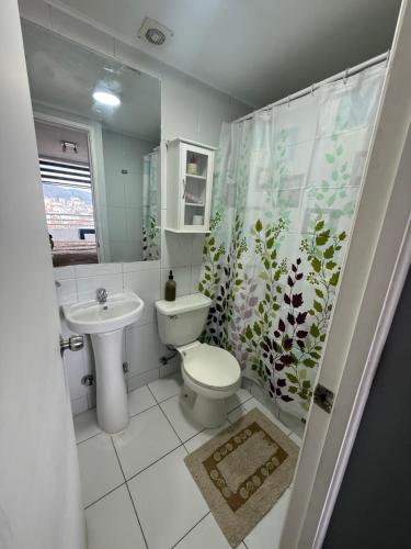 康塞普西翁Vista Mirador Centro con Balcón Dúo的浴室设有卫生间、水槽和淋浴帘