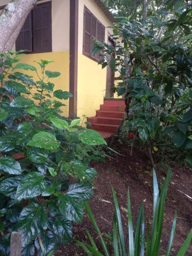 Taman di luar A Casa do Pablo Pousada