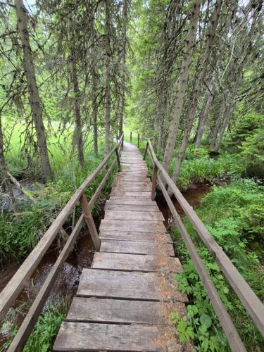 a wooden bridge over a stream in a forest at Milmari S70 Kopaonik in Kopaonik