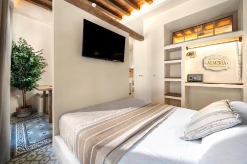 a bedroom with a bed and a flat screen tv at Mi Andalusia Hotel Experience in Málaga