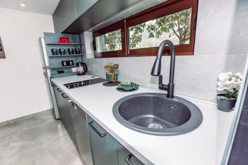 a kitchen with a sink in a kitchen at Aria in Cetinje