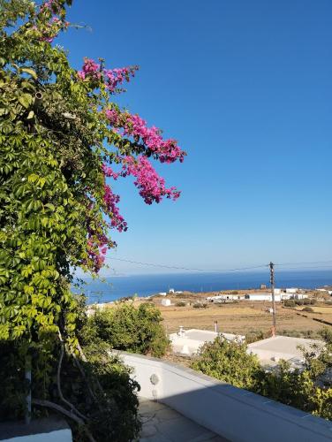 a view of the ocean from the balcony of a house at Θέα - Thea in Artemonas