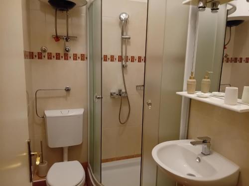 a bathroom with a shower and a toilet and a sink at VELE with parking and sea view in Makarska