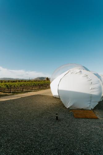 a white boat sitting on the side of the road at Campera Valle de Guadalupe in Ensenada