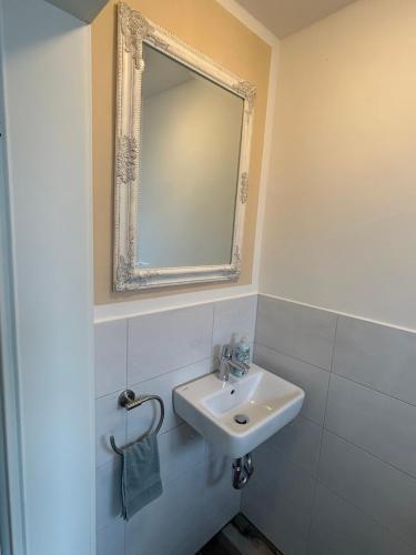 a bathroom with a sink and a mirror at Ferienwohnung Bentheimer Wald in Bad Bentheim