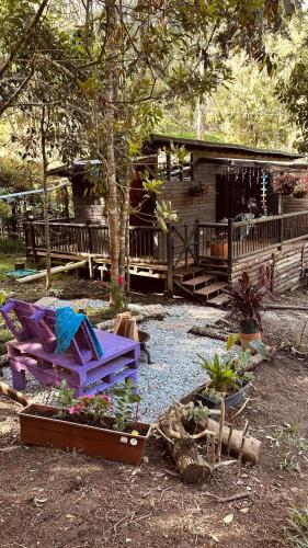 a yard with a purple chair and a house at Casa Tikkun in Medellín