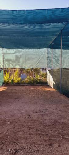 Ampelonas camping