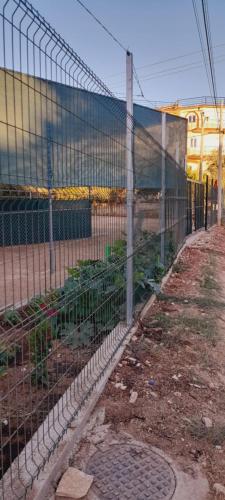Foto de la galeria de Ampelonas camping a Himare