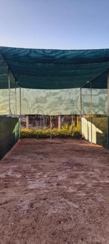 Foto de la galeria de Ampelonas camping a Himare