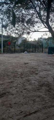 Foto de la galeria de Ampelonas camping a Himare