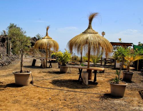 Κήπος έξω από το FINCA BEROLO 1