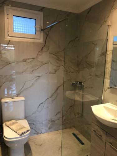 a bathroom with a shower and a toilet and a sink at Villa MaryElen Marathias beach in Corfu Town