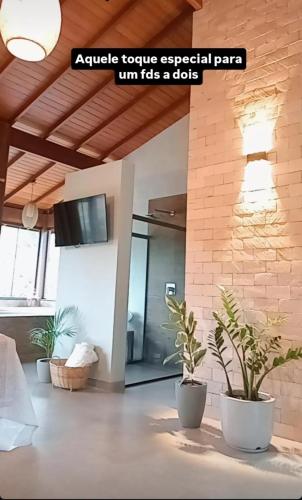 a living room with two potted plants in a room at Recanto Lua de Lumiar in Nova Friburgo