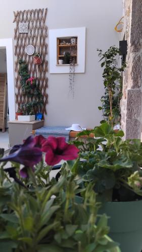 a room with a bunch of potted plants at Apsinthium in Kalymnos