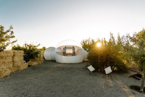a glass house with two chairs in a yard at Campera Valle de Guadalupe in Ensenada