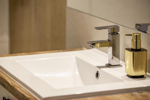 Φωτογραφία από το άλμπουμ του Sika Trezor Apartment Arad σε Arad
