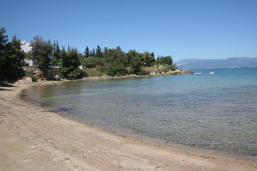 a sandy beach with trees and water on a clear day at Chalkida Apartments in Chalkida
