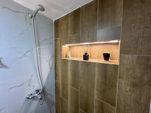 a bathroom with a shower with two plants on a shelf at Manga guesthouse in Gjirokastër