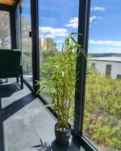 a plant in a pot in front of a window at Sea view Anika by Vellaris, Luxury Mobile Home in Mali Lošinj