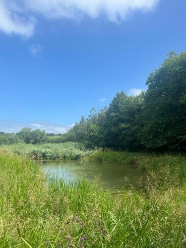 a river in the middle of a field with trees at Bryn y Cadno in Hoel-galed