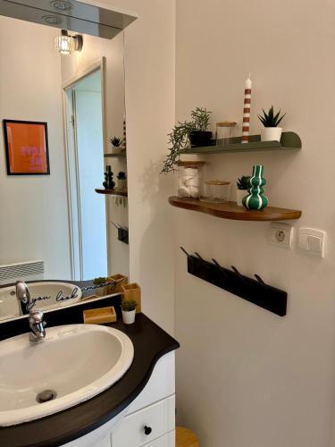 Φωτογραφία από το άλμπουμ του Appartement cosy - rénové et lumineux - σε Colomiers