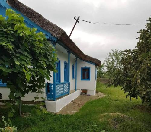 a blue and white house in a field at Căsuța de chirpici in Dunăvăţul-de-Sus