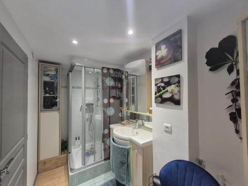 a bathroom with a shower and a sink at Duplex lumineux cocooning proche de suisses in Pontarlier