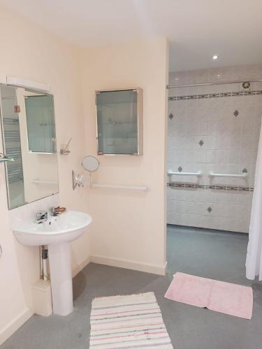 a white bathroom with a sink and a bath tub at Bryn y Cadno in Hoel-galed