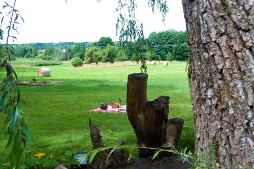 Jardin de l'établissement Chambres d'hôte Odile et les cycleux Lily