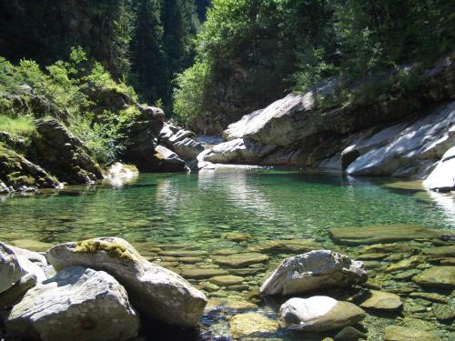 a river with some rocks in the water at Palazzo Gamboni Swiss Historic Hotel in Comologno