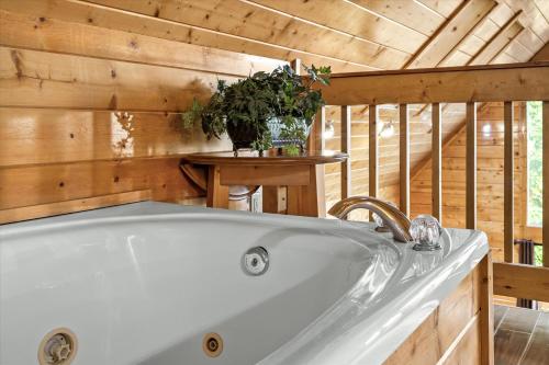 een badkamer met een bad in een cabine bij Knotty Pine Delight Holiday home in Gatlinburg