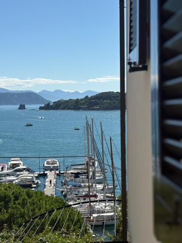 a view of a marina with boats in the water at Le Finestre Veneris in Portovenere