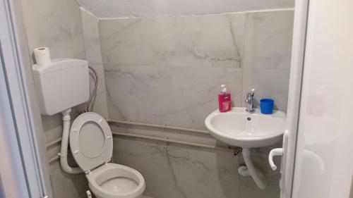 a small bathroom with a toilet and a sink at Kuca pored rijeke Kurikuce RiversideHomeKurikuce in Berane