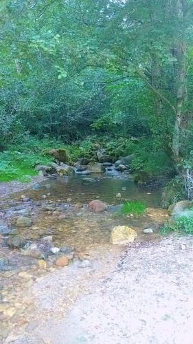 a painting of a creek with rocks and trees at Kuca pored rijeke Kurikuce RiversideHomeKurikuce in Berane