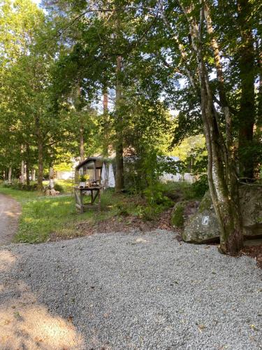 a campsite with a picnic table in the woods at Lärkan 