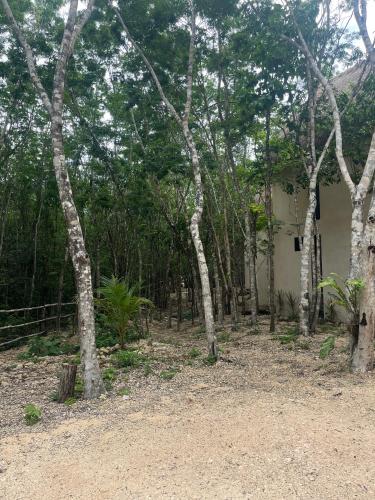 Fotografie z fotogalerie ubytování Sak lool Tulum v destinaci Tulum