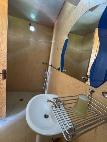 a bathroom with a sink and a mirror at Kobuleti Central in Kobuleti