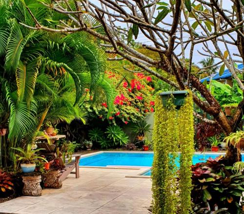 Piscina di Vaea Hotel Samoa o nelle vicinanze