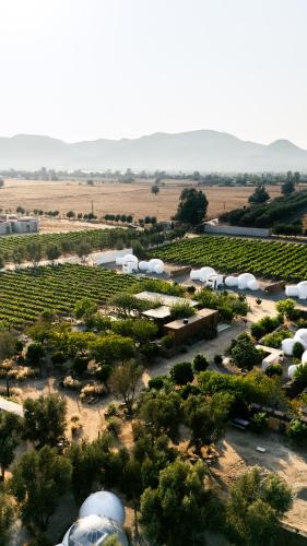 an aerial view of a farm with crops and domes at Campera Valle de Guadalupe in Ensenada