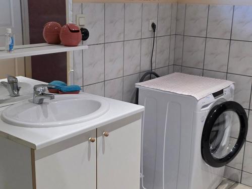 a bathroom with a sink and a washing machine at Gîte paisible en campagne proche nature - FR-1-583-408 in La Villedieu-en-Fontenette