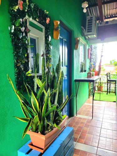 a green wall with a potted plant on a patio at Hostal Leyendas in León