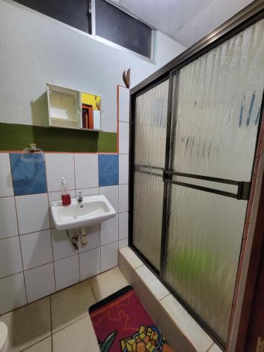 a bathroom with a sink and a shower at Hostal Leyendas in León