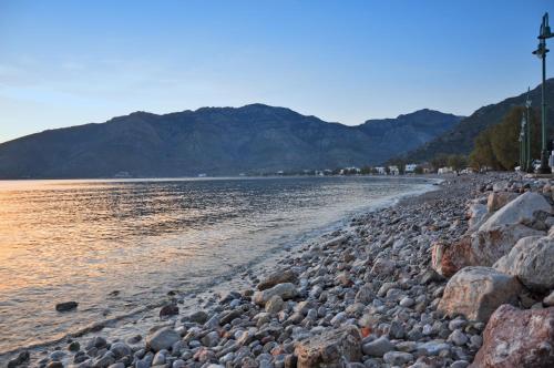 Φυσικό τοπίο κοντά σε αυτό το ξενοδοχείο διαμερισμάτων