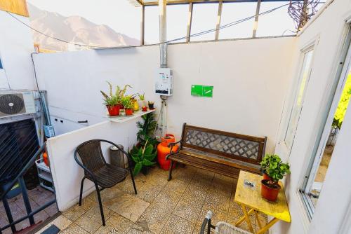 a small greenhouse with a bench and plants in it at Hostal Pampaloja Antof in Antofagasta