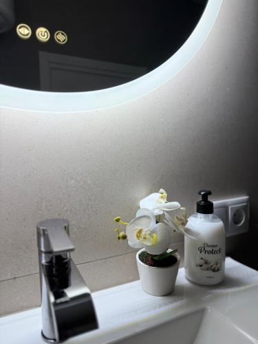 a bathroom sink with a bottle of soap and a flower at Basset 1 in Valencia
