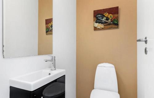 a bathroom with a sink and a toilet at Stunning Home In Gråsten With Sauna in Gråsten