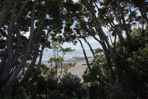 a view of the beach through the trees at Bay View Terrace Studio 3 in Tataraimaka