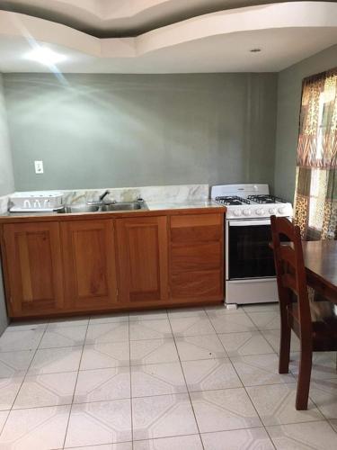 Η κουζίνα ή μικρή κουζίνα στο Ashika rental