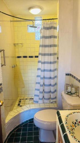 a bathroom with a shower with a toilet and a sink at Hotel Casa Rosario in San Miguel de Allende